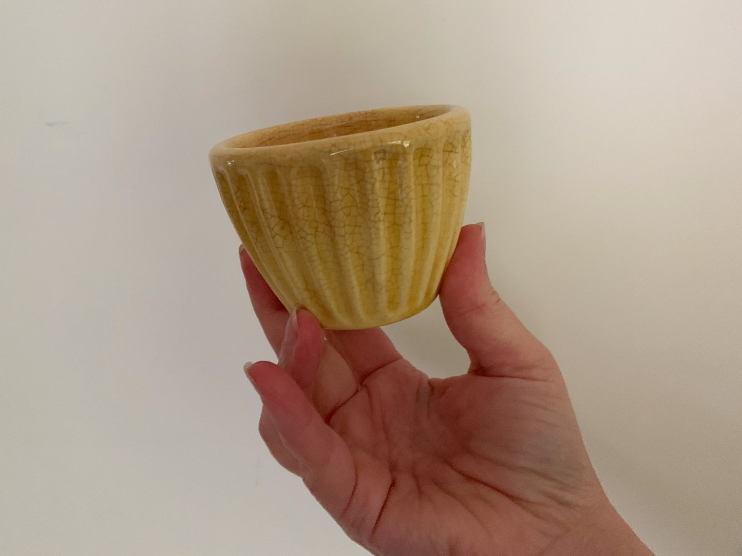 Vintage Custard Cups Set